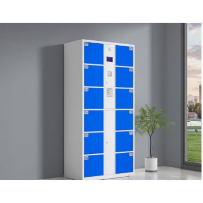 智能儲(chǔ)物柜 12門(mén)自編碼柜